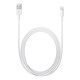 Apple USB Lightning Şarj Kablosu (2m)