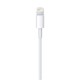 Apple USB Lightning Şarj Kablosu (2m)