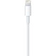 Apple USB Lightning Şarj Kablosu (1m)